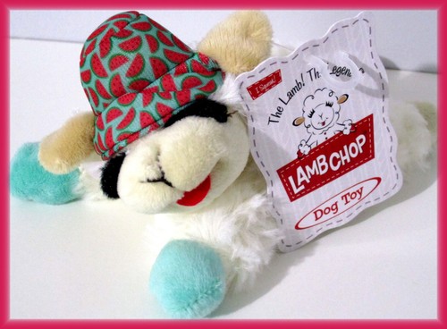 New summer watermelon - watermelon, picnic